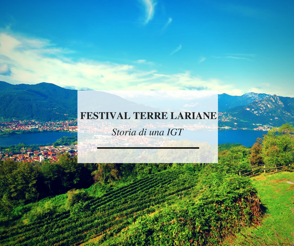 FESTIVAL TERRE LARIANE Storia di una IGT