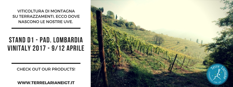 VINITALY 2017 2
