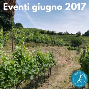 GIUGNO 2017: Gli eventi del Consorzio Terre Lariane