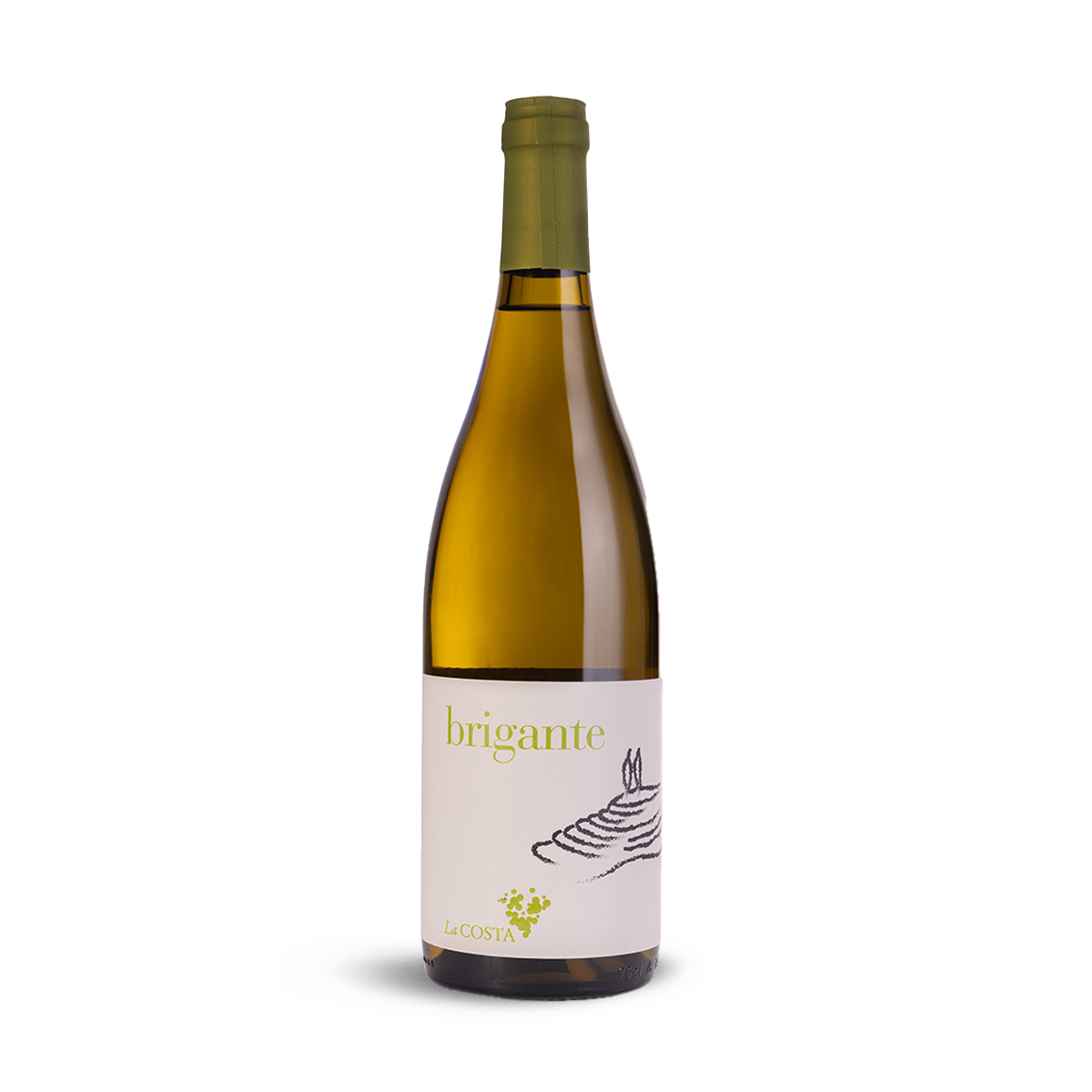 Fermentazione e affinamento in acciaio, 2/3 mesi in bottiglia.

Sentori: L’annata calda ha portato ad una maturazione importante delle componenti aromatiche. Al naso, frutta esotica, bergamotto, fiori d’arancia. In bocca la sapidità è intensa e persistente.