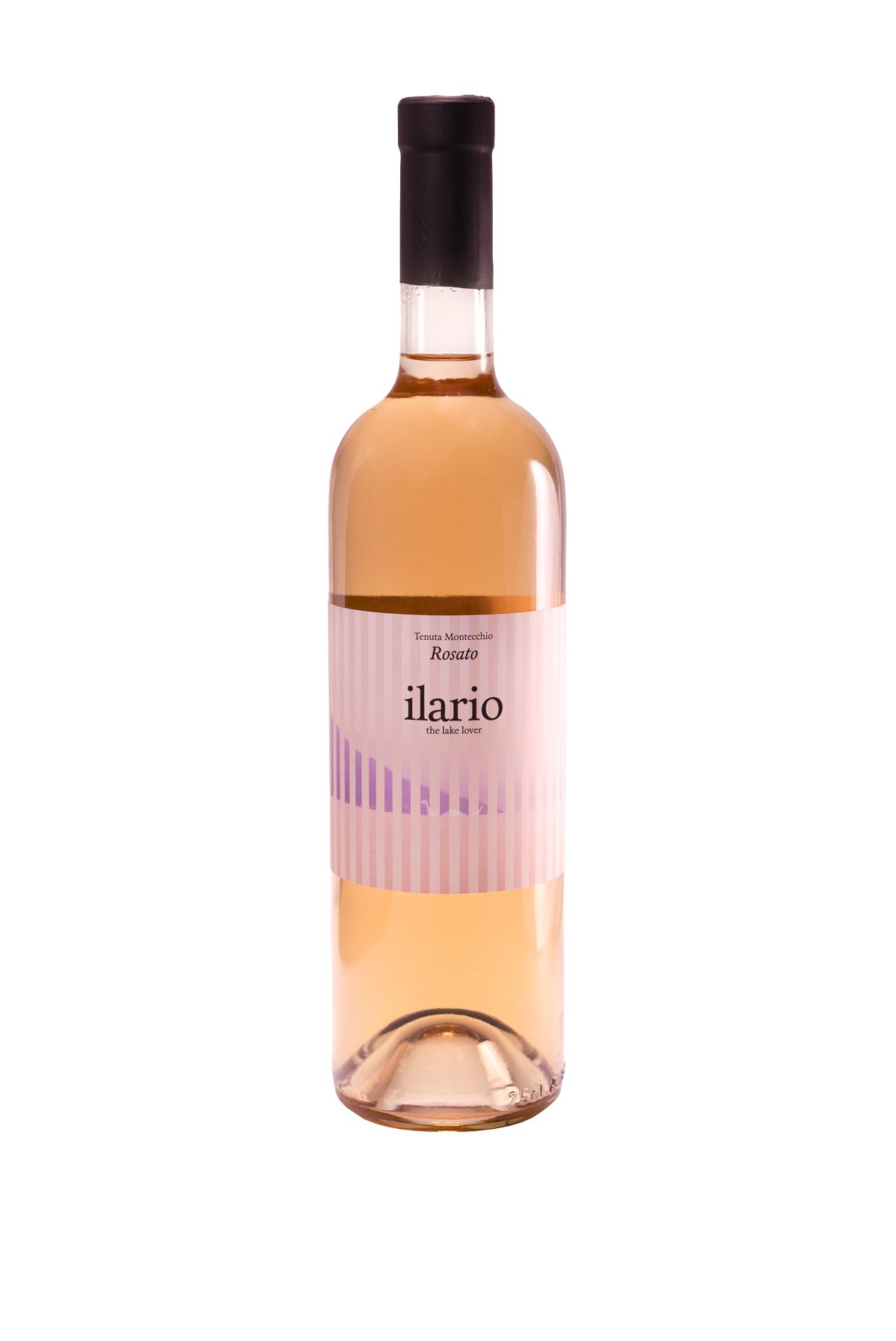 Diraspatura e macerazione del mosto a contatto con le bucce, in pressa a temperatura controllata. A questa segue la fermentazione alcolica in vasche di acciaio a temperatura controllata.
Ilario si presenta con colore rosa scarico. Freschi sentori di piccoli frutti rossi croccanti. Al palato, infine, il vino è fresco e chiude con bella sapidità che facilità la scorrevolezza del sorso.